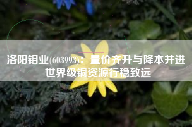 洛阳钼业(603993)：量价齐升与降本并进 世界级铜资源行稳致远