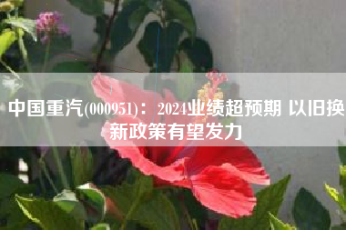 中国重汽(000951)：2024业绩超预期 以旧换新政策有望发力