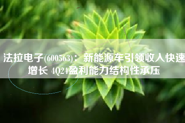法拉电子(600563)：新能源车引领收入快速增长 4Q24盈利能力结构性承压