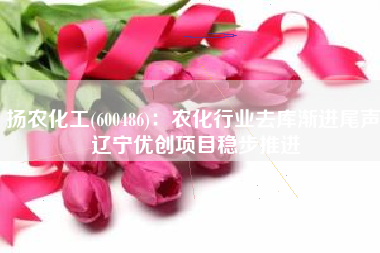 扬农化工(600486)：农化行业去库渐进尾声 辽宁优创项目稳步推进