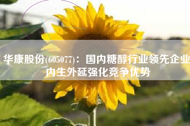 华康股份(605077)：国内糖醇行业领先企业 内生外延强化竞争优势