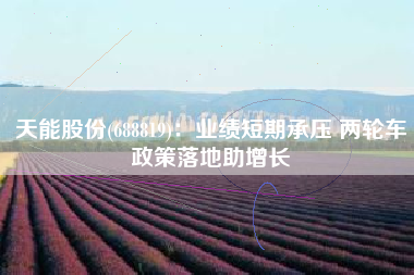 天能股份(688819)：业绩短期承压 两轮车政策落地助增长