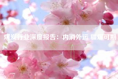 煤炭行业深度报告：内消外运 疆煤可期