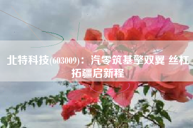 北特科技(603009)：汽零筑基擎双翼 丝杠拓疆启新程