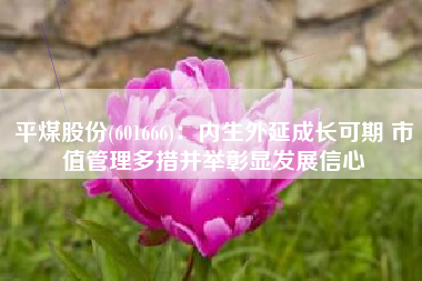 平煤股份(601666)：内生外延成长可期 市值管理多措并举彰显发展信心