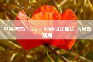 中谷物流(603565)：业绩同比增长 派息超预期
