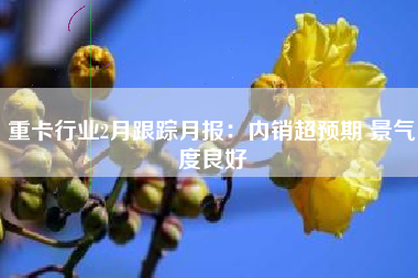 重卡行业2月跟踪月报：内销超预期 景气度良好