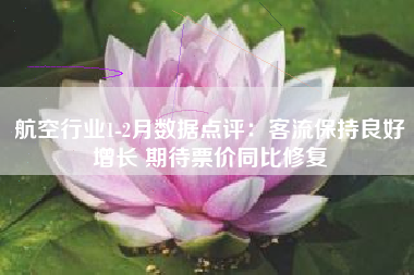 航空行业1-2月数据点评：客流保持良好增长 期待票价同比修复