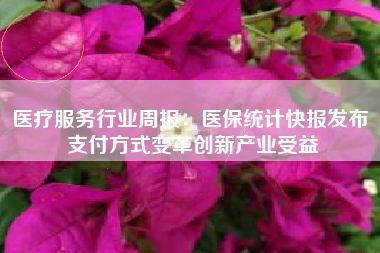 医疗服务行业周报：医保统计快报发布 支付方式变革创新产业受益