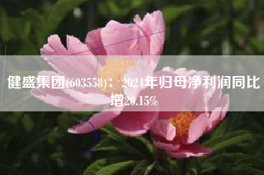 健盛集团(603558)：2024年归母净利润同比增20.15%