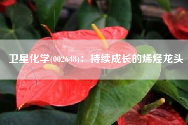 卫星化学(002648)：持续成长的烯烃龙头