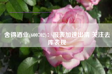 舍得酒业(600702)：报表加速出清 关注去库表现