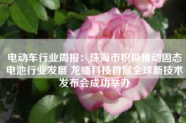 电动车行业周报：珠海市积极推动固态电池行业发展 龙蟠科技首届全球新技术发布会成功举办