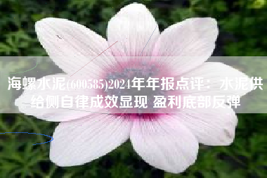海螺水泥(600585)2024年年报点评：水泥供给侧自律成效显现 盈利底部反弹