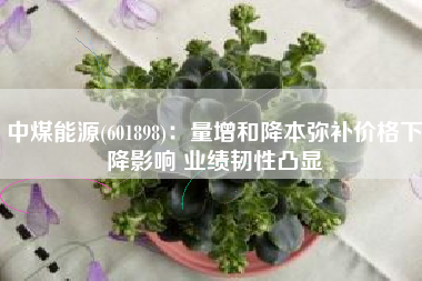 中煤能源(601898)：量增和降本弥补价格下降影响 业绩韧性凸显