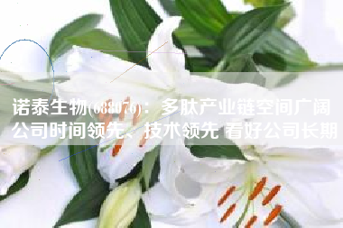 诺泰生物(688076)：多肽产业链空间广阔 公司时间领先、技术领先 看好公司长期