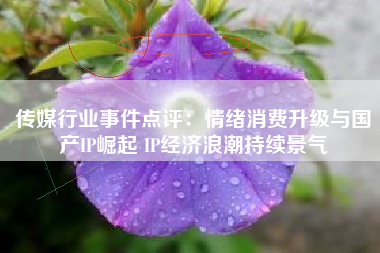 传媒行业事件点评：情绪消费升级与国产IP崛起 IP经济浪潮持续景气