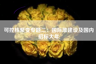 可控核聚变专题二：国际堆建设及国内招标大年