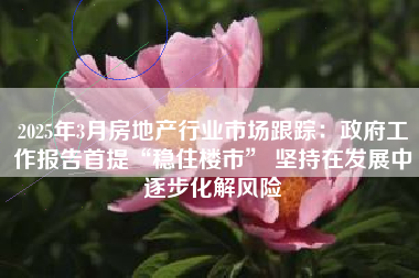 2025年3月房地产行业市场跟踪：政府工作报告首提“稳住楼市” 坚持在发展中逐步化解风险