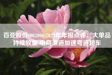 百亚股份(003006)2024年年报点评：大单品持续放量 电商渠道加速弯道超车
