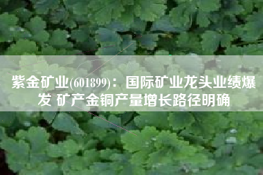 紫金矿业(601899)：国际矿业龙头业绩爆发 矿产金铜产量增长路径明确