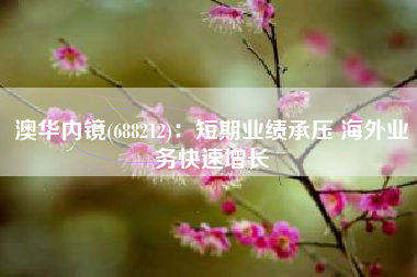 澳华内镜(688212)：短期业绩承压 海外业务快速增长