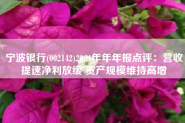 宁波银行(002142)2024年年年报点评：营收提速净利放缓 资产规模维持高增