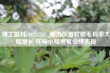 理工能科(002322)：电力仪器营收毛利率大幅增长 环保小幅拖累业绩表现