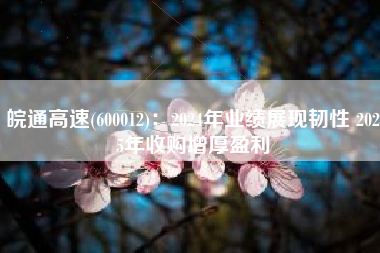 皖通高速(600012)：2024年业绩展现韧性 2025年收购增厚盈利
