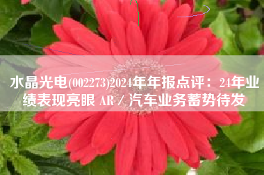 水晶光电(002273)2024年年报点评：24年业绩表现亮眼 AR／汽车业务蓄势待发