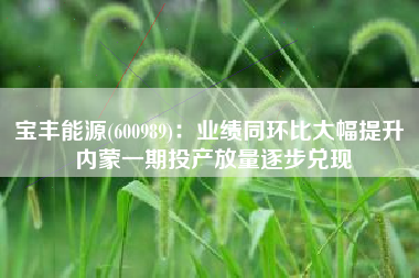 宝丰能源(600989)：业绩同环比大幅提升 内蒙一期投产放量逐步兑现