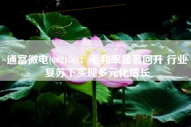 通富微电(002156)：毛利率显著回升 行业复苏下实现多元化增长