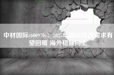 中材国际(600970)：2025年国内技改需求有望回暖 海外稳健向上