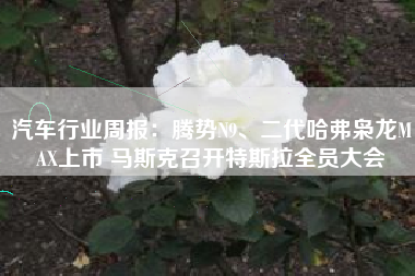 汽车行业周报：腾势N9、二代哈弗枭龙MAX上市 马斯克召开特斯拉全员大会