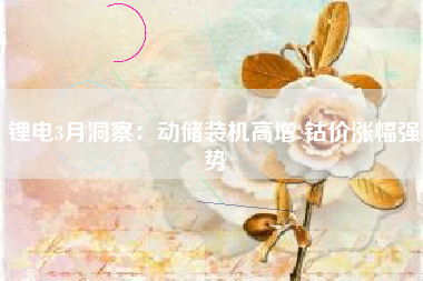 锂电3月洞察：动储装机高增 钴价涨幅强势