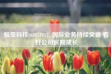 航亚科技(688510)：国际业务持续突破 看好公司长期成长