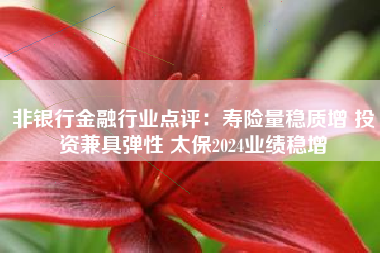 非银行金融行业点评：寿险量稳质增 投资兼具弹性 太保2024业绩稳增
