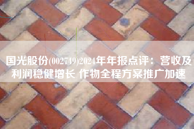 国光股份(002749)2024年年报点评：营收及利润稳健增长 作物全程方案推广加速