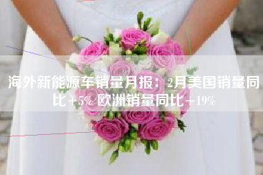 海外新能源车销量月报：2月美国销量同比+5% 欧洲销量同比+19%