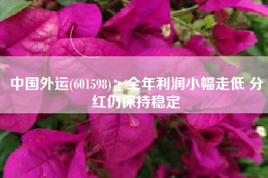 中国外运(601598)：全年利润小幅走低 分红仍保持稳定