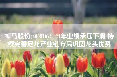 神马股份(600810)：24年业绩承压下滑 持续完善尼龙产业链布局巩固龙头优势