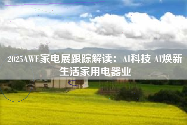 2025AWE家电展跟踪解读：AI科技 AI焕新生活家用电器业