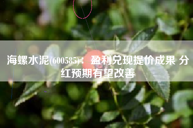 海螺水泥(600585)：盈利兑现提价成果 分红预期有望改善
