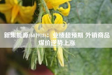 新集能源(601918)：业绩超预期 外销商品煤价逆势上涨