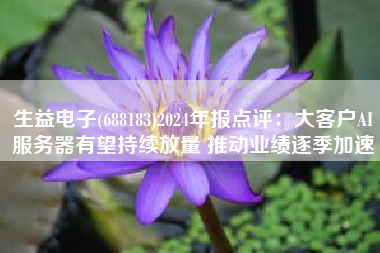 生益电子(688183)2024年报点评：大客户AI服务器有望持续放量 推动业绩逐季加速