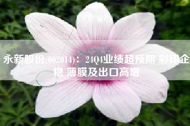 永新股份(002014)：24Q4业绩超预期 彩印企稳 薄膜及出口高增