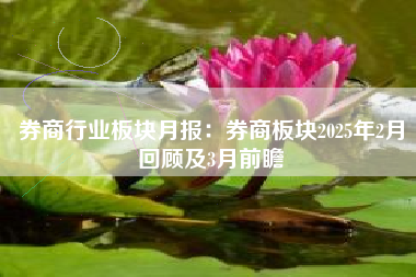 券商行业板块月报：券商板块2025年2月回顾及3月前瞻