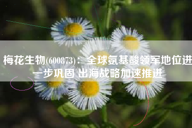 梅花生物(600873)：全球氨基酸领军地位进一步巩固 出海战略加速推进
