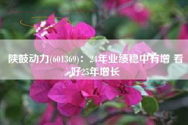 陕鼓动力(601369)：24年业绩稳中有增 看好25年增长