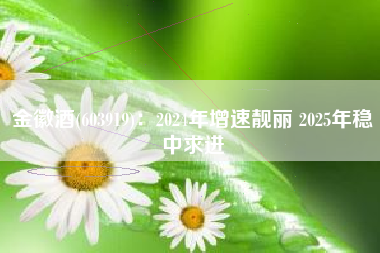 金徽酒(603919)：2024年增速靓丽 2025年稳中求进